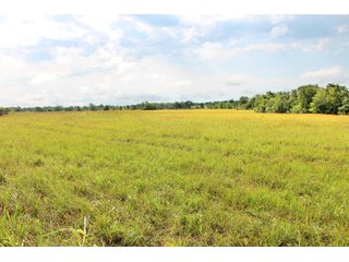 Property photo 22 - LAND AUCTION - 1,593+/- ACRES OFFERED IN 21 TRACTS IN OKMULGEE CO., OK